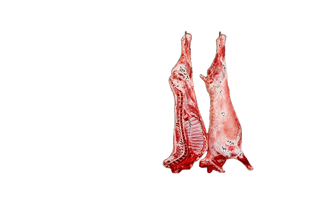 Goat Six-Way Cut wholesale product